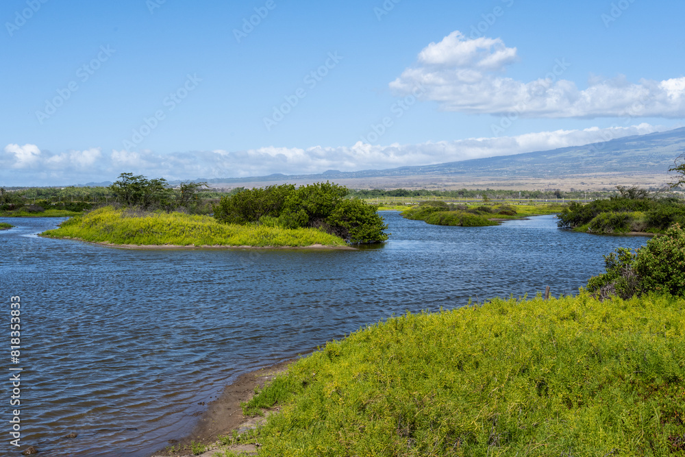 Kealia Pond on a sunny spring day, Kealia Coastal Boardwalk, National Wildlife Refuge, Maui, Hawaii
