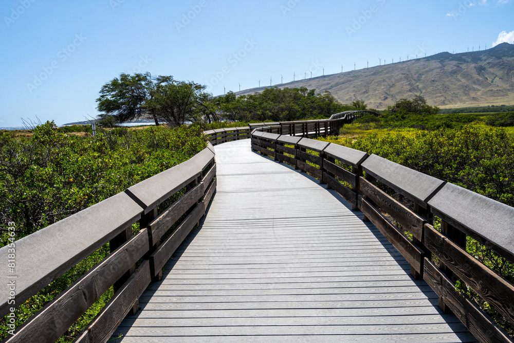 Manufactured wood Kealia Coastal Boardwalk, National Wildlife Refuge, handicap accessible exploration in nature, Maui, Hawaii
