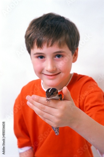 Boy And Lizard photo