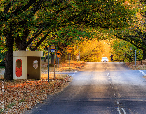Bus stop in Canberra during Autumn