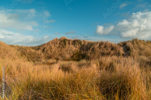 Terschelling island in the Wadden Sea - Holland or the Netherlands