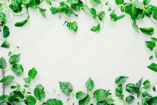 Green plant with leaves on white background  perfect for botanical designs  nature concepts  health and wellness graphics  or environmental themes.