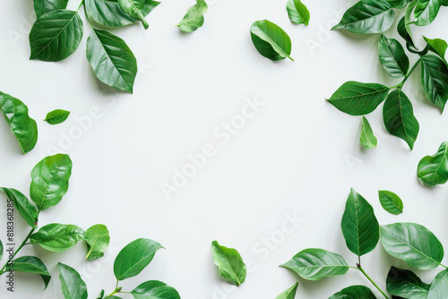 Green plant with leaves on white background  perfect for botanical designs  nature concepts  health and wellness graphics  or environmental themes.