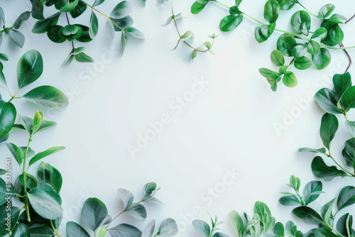 Green plant with leaves on white background  perfect for botanical designs  nature concepts  health and wellness graphics  or environmental themes.