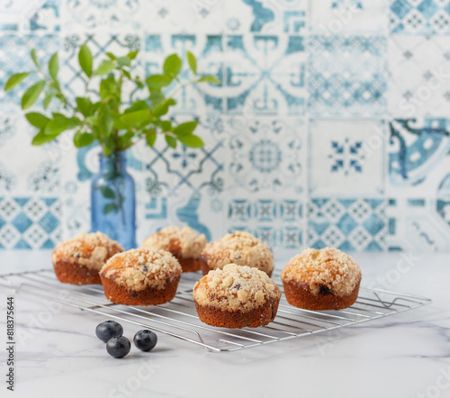 Homemade Blueberry Muffins on a Cooling Rack in Blue and White Kitchen; Blueberries Scattered Around; Blueberry Branches in Blue Vase in Background