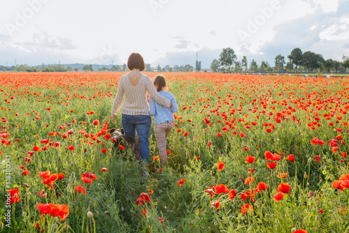 rear view of mother and daughter walking away in the poppy field and their dog following them