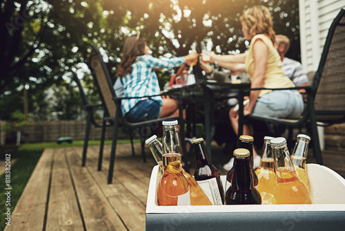 Photography Weekend, outside and case with alcohol for friends with beer, cider and spirits on porch or backyard