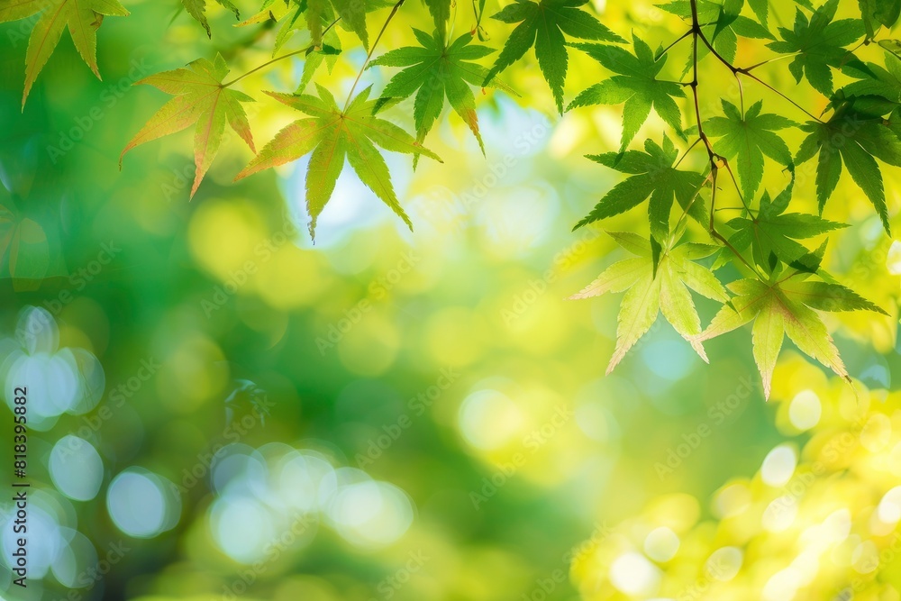 The background image that is green, the colors of the autumn leaves are perfect, suitable for seasonal use - generative ai The background image that is green, the colors of the autumn leaves are perfect, suitable for seasonal use - generative ai