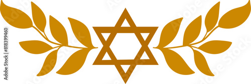 Judaica golden floral design with David star