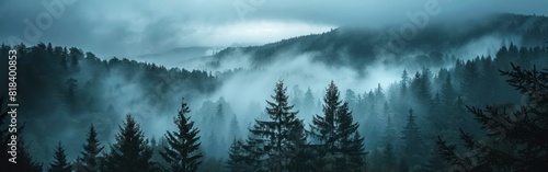 Majestic Black Forest Mountainscape with Mystical Fog and Silhouetted Trees © hisilly