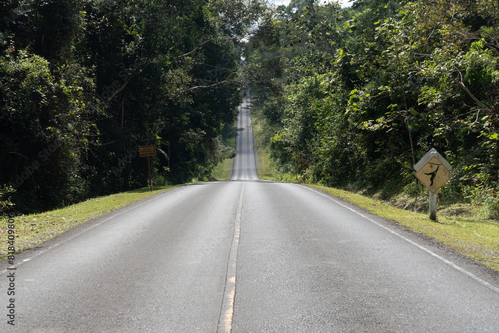 Fototapeta premium Empty road in Khao Yai National Park