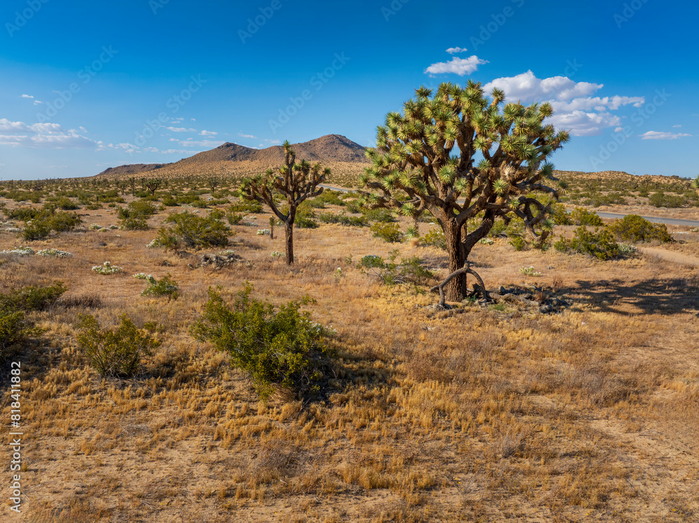 Butte Valley in the Mohave Desert Butte Valley in the Mohave Desert