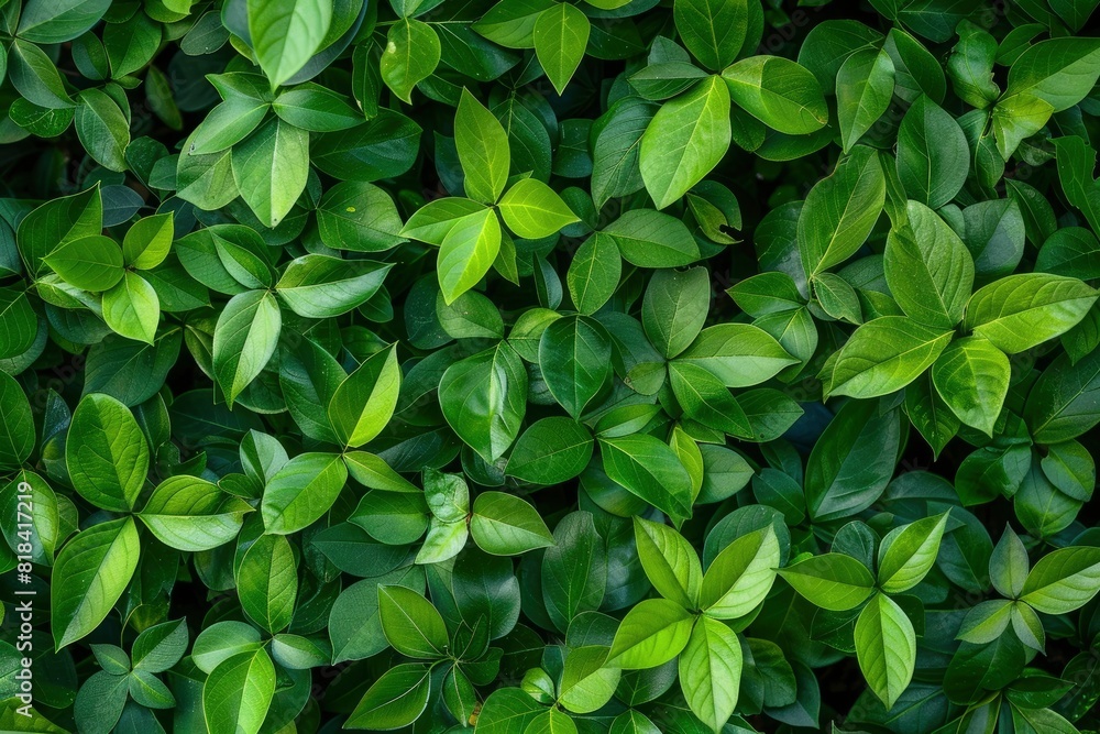 Green leaves pattern background, Natural background and wallpaper - generative ai Green leaves pattern background, Natural background and wallpaper - generative ai