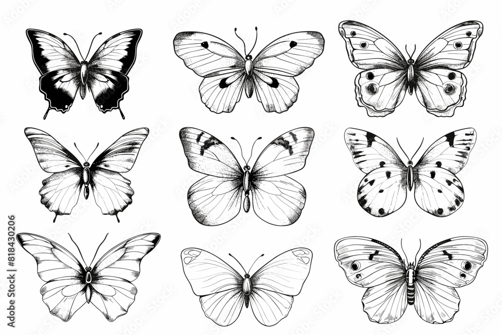vector world wild animals, mammals, fish, reptiles, and birds. Rare animals. Funny flat characters, good for banners, prints, patterns, infographics, children's book illustrations etc generated ai vector world wild animals, mammals, fish, reptiles, and birds. Rare animals. Funny flat characters, good for banners, prints, patterns, infographics, children's book illustrations etc generated ai
