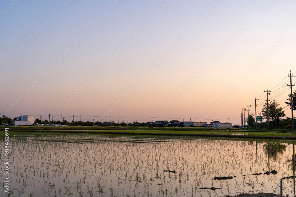 Naklejka premium 夕焼けと水田 日本の田舎の風景