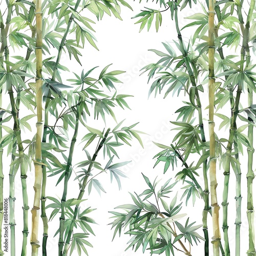 A beautiful watercolor painting of a bamboo forest