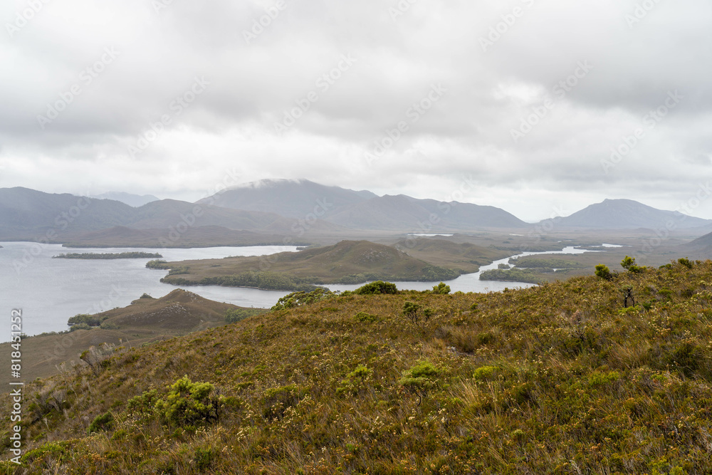 mountains in a wilderness in a national park with native plants and trees in a rainforest in Australia, forest growing in a national park in Tasmania. with rivers and exploring mountains in a wilderness in a national park with native plants and trees in a rainforest in Australia, forest growing in a national park in Tasmania. with rivers and exploring