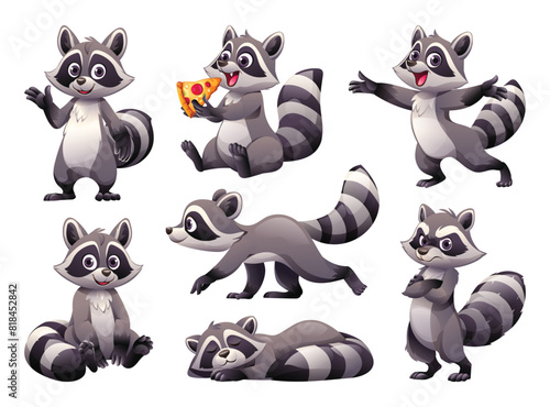 Set of raccoon in various poses. Vector cartoon illustration
