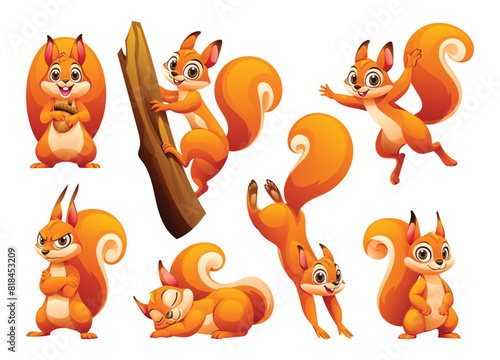 Set of squirrel in different poses. Vector cartoon illustration