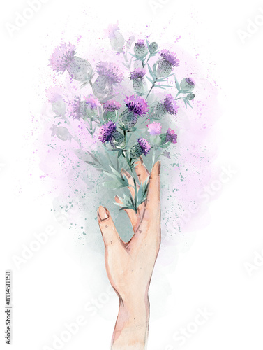 A woman's hand with a bouquet of summer thistle flowers, watercolor drawing on a white background. Thistle and hand, hand-drawn watercolor