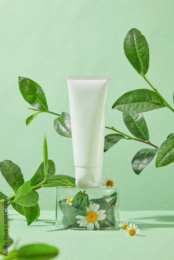 A photo with a light green background with an unlabeled cosmetic tube placed on top of a transparent glass box with some tea leaves and chamomile inside. Frontal shot, empty space for text A photo with a light green background with an unlabeled cosmetic tube placed on top of a transparent glass box with some tea leaves and chamomile inside. Frontal shot, empty space for text