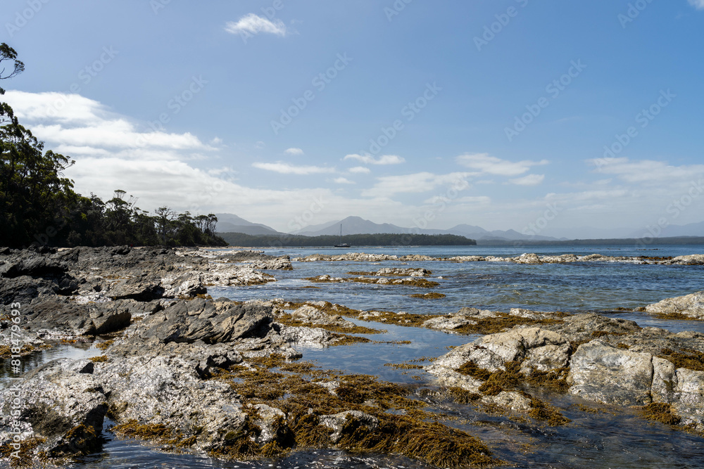 sailing on a yacht in the australian in the remote forest wilderness in spring, with waves breaking on a beach on the australian coastline sailing on a yacht in the australian in the remote forest wilderness in spring, with waves breaking on a beach on the australian coastline
