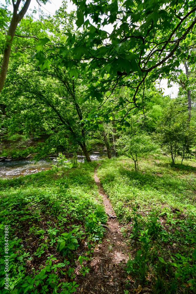 A Walk by the Cahaba River in Birmingham, Alabama