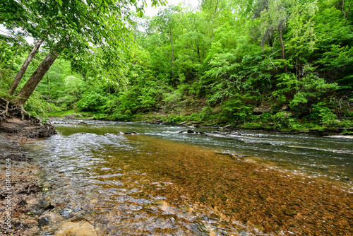 A Walk by the Cahaba River in Birmingham  Alabama