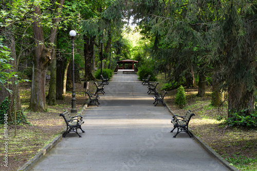 An alley in the park with symetrically placed benches.