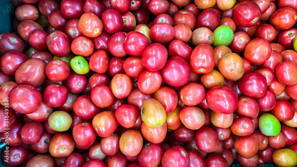 Srida Pink Egg Tomato as background