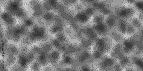 Abstract topology topographic line map 