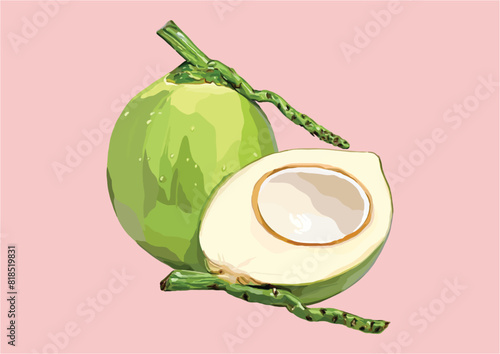 Vector Illustration of Young Coconut, Fruit