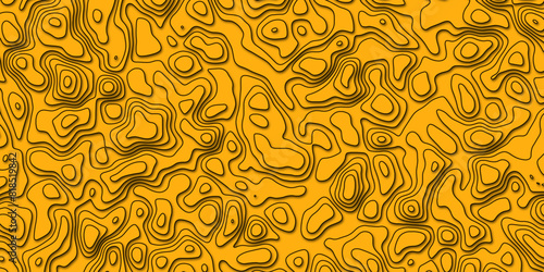 Abstract topology topographic line map 