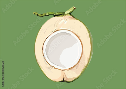Vector Illustration of Young Coconut, Fruit