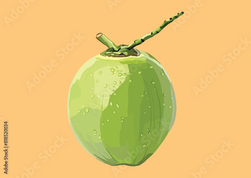 Vector Illustration of Young Coconut, Fruit