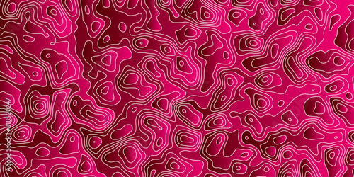 Abstract topology topographic line map 