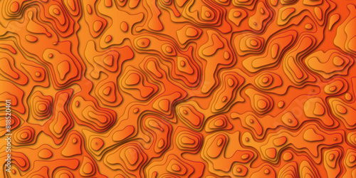 Abstract topology topographic line map 