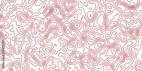 Abstract topography wavy line map.
