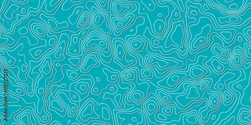 Abstract topography wavy line map.