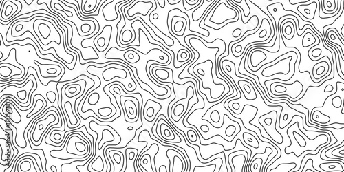 Abstract topography wavy line map.