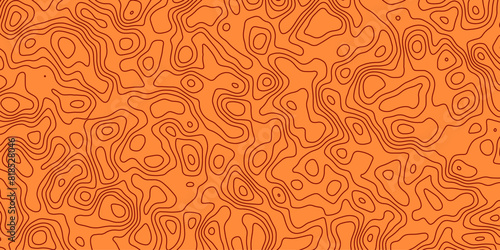 Abstract topography wavy line map.