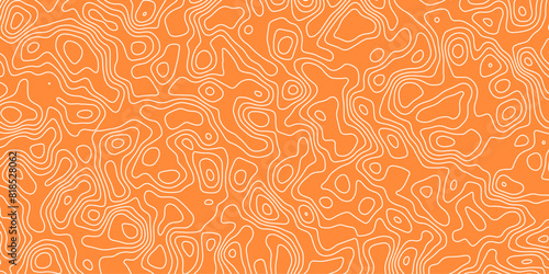 Abstract topography wavy line map.