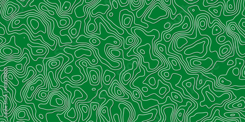 Abstract topography wavy line map.