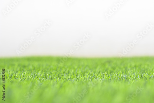 Obraz na płótnie Artificial green grass w salonie