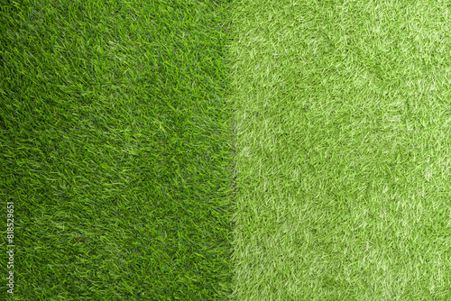 Obraz na płótnie Artificial two green grass contrast w salonie