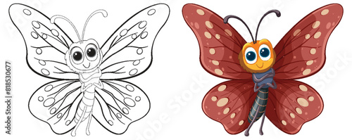 Vector illustration of a butterfly, colored and outlined