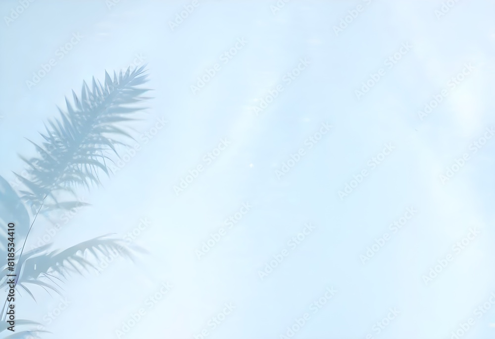 Palm leaf shadow on the light blue background. Palm leaves shadow mockup for product presentation Palm leaf shadow on the light blue background. Palm leaves shadow mockup for product presentation