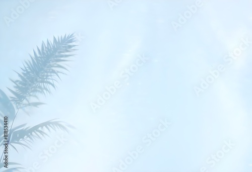 Palm leaf shadow on the light blue background. Palm leaves shadow mockup for product presentation