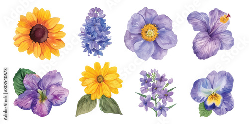 Set collection of beautiful blossom colorful purple yellow flowers floral watercolor illustration