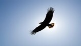 A simple silhouette of a soaring eagle upscaled_2